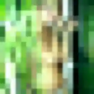 Alexandra de Montmirail, 36 ans - plan cul discret