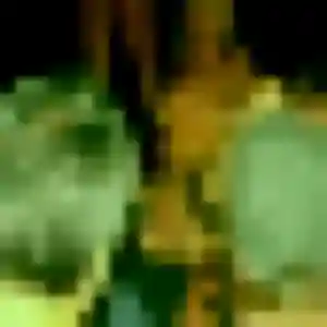 Geneve, 22 ans, connectée à Montois-la-Montagne pour une rencontre coquine