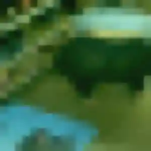 Solange, 31 ans, disponible à Montregard pour une rencontre coquine