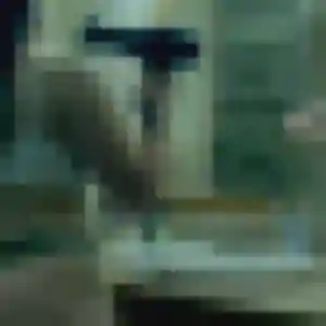 Faustine, 39 ans, connectée à Morsang-sur-Orge pour un plan cul