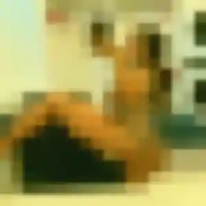 Hilary, 35 ans, disponible à Moulins pour une rencontre coquine
