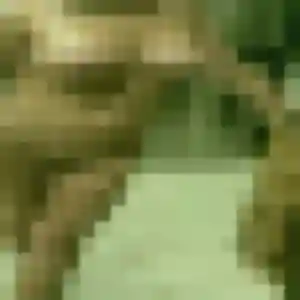 Ilona, femme de 27 ans cherche plan cul à Moulins-la-Marche