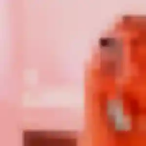 Lisette, 26 ans, disponible à Mousseaux-Neuville pour un plan cul