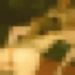 Candice, 26 ans, disponible à Muncq-Nieurlet pour une rencontre coquine