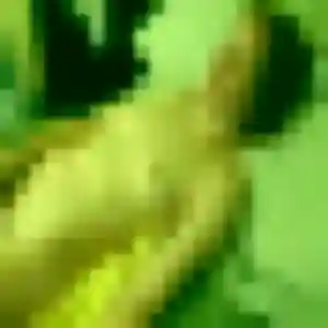 Rejoins Monique, 43 ans à Muncq-Nieurlet en privé