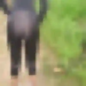 Nathalie, 40 ans, en ligne à Muncq-Nieurlet pour une rencontre coquine
