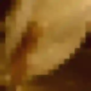 Photo perso de Eugenie, 27 ans à Murat - rencontre coquine