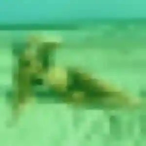 Nadine, 40 ans, disponible à Nayemont-les-Fosses pour une rencontre coquine