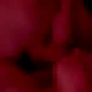 Photo privée de Anne-Charlotte, 28 ans à Neewiller-près-Lauterbourg - rencontre sans lendemain
