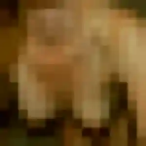 Idalina (34 ans) à Neuilly-l'Évêque cherche une rencontre maintenant