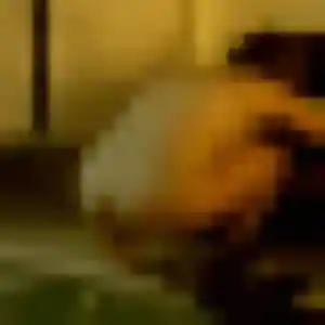 Sexy Monique, 25 ans à Nibelle - voir sa photo