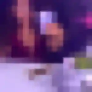 Photo perso de Celine, 28 ans à Niederhaslach - plan discret