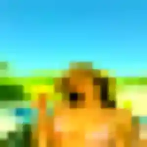 Idalina, 40 ans, cherche un plan cul à Niedernai