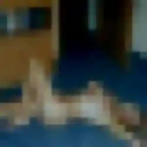 Photo sexy de Celia, 22 ans à Nielles-lès-Ardres - rencontre sans lendemain