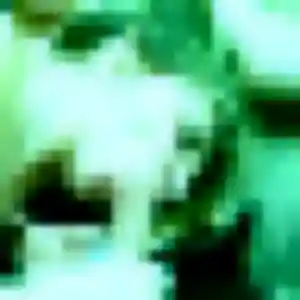 Photo de Soraya à Nieulle-sur-Seudre (30 ans) - plan cul anonyme