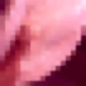 Photo perso de Huguette, 36 ans à Noailly - plan discret