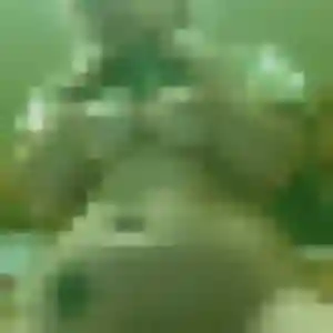 Jeanne, 43 ans, dispo pour plan cul à Nogent-sur-Marne