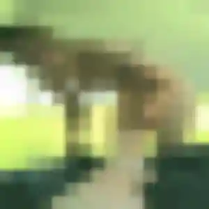 Contacte Katia, 36 ans à Noirétable en privé
