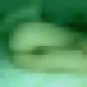 Photo sexy de Rachel, 43 ans à Nouans-les-Fontaines - rencontre sans lendemain
