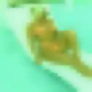 Profil de Tiffany à Objat (44 ans) - plan cul gratuit