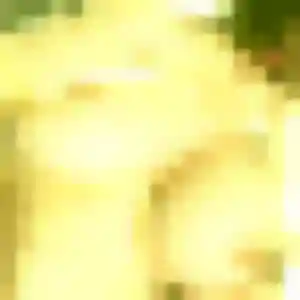 Ibtissam, 36 ans, dispo pour plan cul à Odos