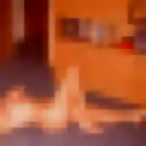 Charmante Chloe, 30 ans à Offendorf - la contacter