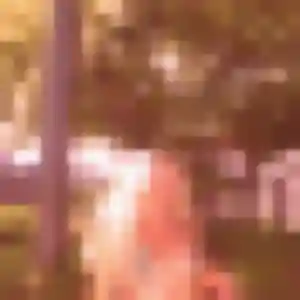 Ariane, 28 ans, connectée à Orée d'Anjou pour une rencontre coquine
