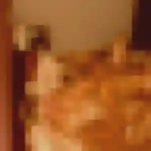 Wahiba, femme de 27 ans cherche plan cul à Oresmaux