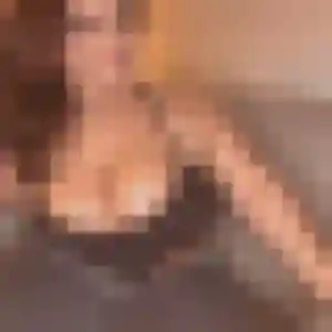 Jolie Coralie, 22 ans à Orgon - découvrir son profil