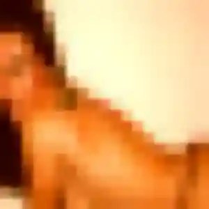 Charmante Rachel, 43 ans à Ouanne - la contacter