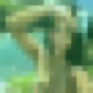 Photo exclusive de Colombine, 27 ans à Outreau - rencontre coquine