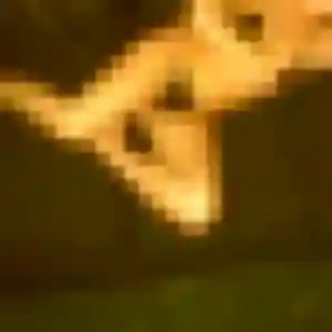 Ximena, 24 ans, dispo pour plan cul à Parçay-sur-Vienne