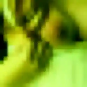 Roxane, 38 ans, dispo pour plan cul à Parigné-le-Pôlin