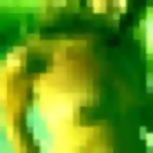 Ninon (28 ans) à Pendé cherche un plan cul ce soir