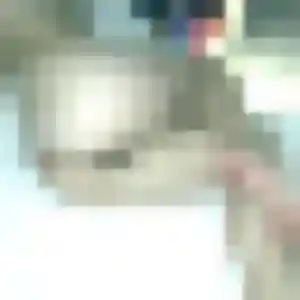 Photo privée de Verane, 42 ans à Perrignier - rencontre coquine