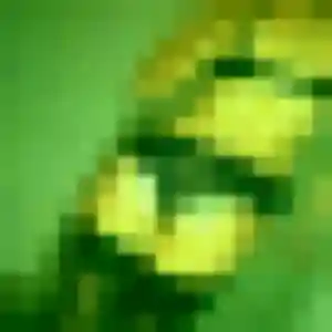 Photo perso de Zoe, 40 ans à Peujard - plan discret