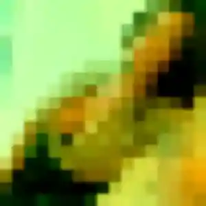Photo de Leontine à Peyriac-de-Mer (37 ans) - plan cul gratuit