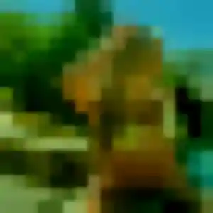 Photo exclusive de Iris, 22 ans à Pierrevert - rencontre sans lendemain