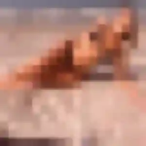 Jolie Nora, 26 ans à Plauzat - la contacter