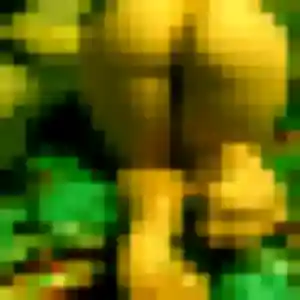 Ines, femme de 40 ans cherche plan cul à Pleucadeuc