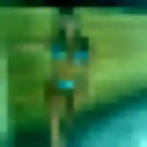 Contacte Daphne, 43 ans à Plomeur en privé