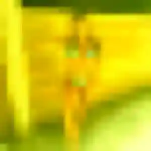 Contacte Zephyrine, 26 ans à Plounévézel en privé