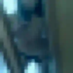 Tessa, 38 ans, cherche un plan cul à Pludual