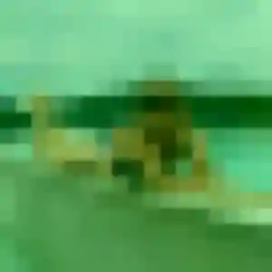 Photo de Faustine à Poisat (26 ans) - plan cul anonyme