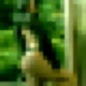 Photo de Alexandra à Poitiers (35 ans) - plan cul gratuit