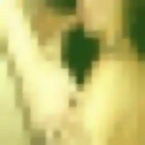 Marie-Ange, 24 ans, connectée à Pomas pour une rencontre coquine