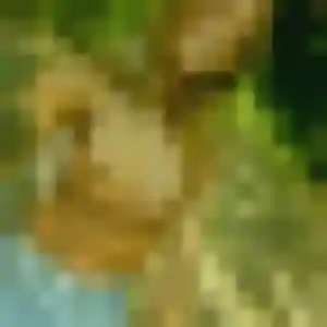 Photo de Sophie à Pomas (25 ans) - plan cul anonyme