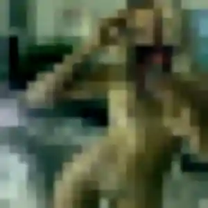 Photo perso de Mila, 27 ans à Poncin - rencontre coquine