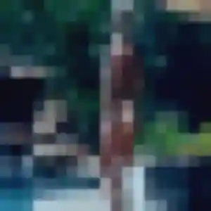 Viviane, 38 ans, connectée à Pont-du-Casse pour une rencontre coquine