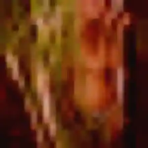 Photo de Solange à Pontailler-sur-Saône (34 ans) - plan cul anonyme